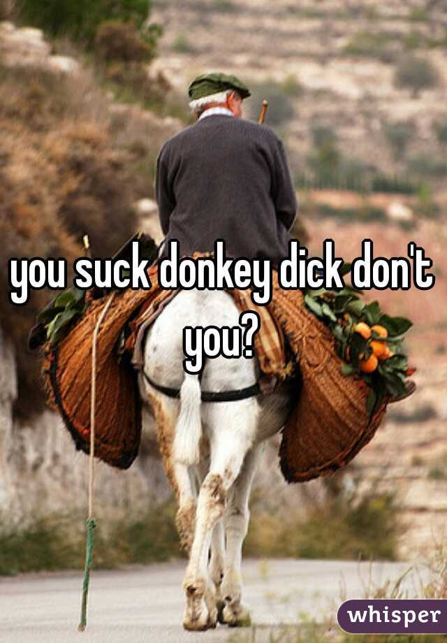 you suck donkey dick don't you? 