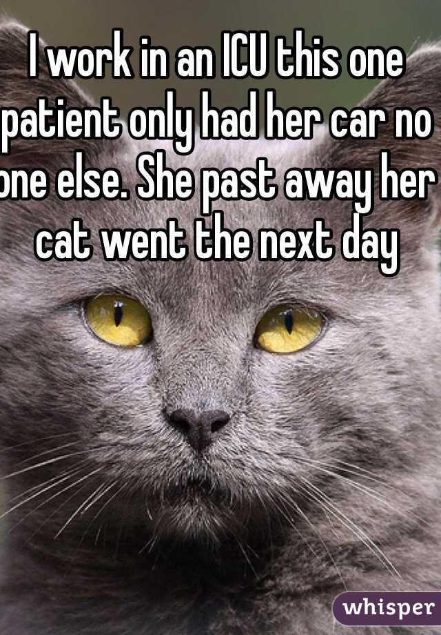 I work in an ICU this one patient only had her car no one else. She past away her cat went the next day 