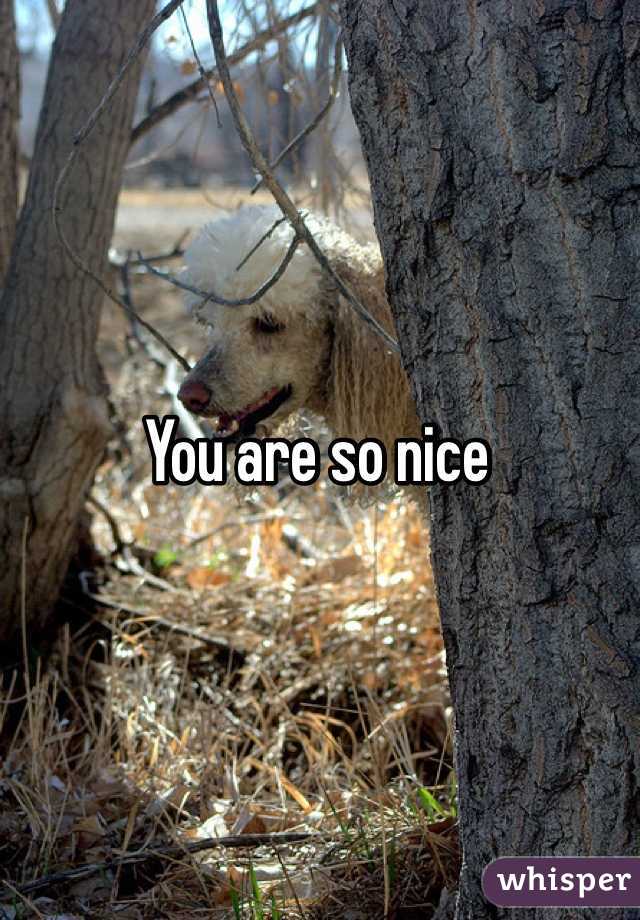 You are so nice