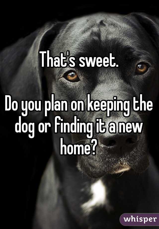 That's sweet.

Do you plan on keeping the dog or finding it a new home?