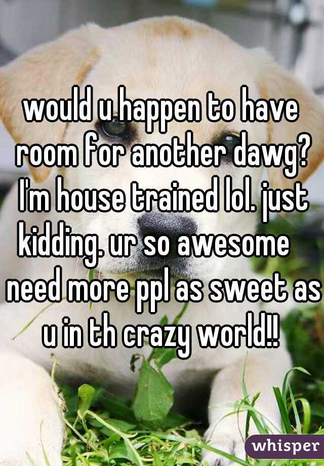 would u happen to have room for another dawg? I'm house trained lol. just kidding. ur so awesome    need more ppl as sweet as u in th crazy world!! 