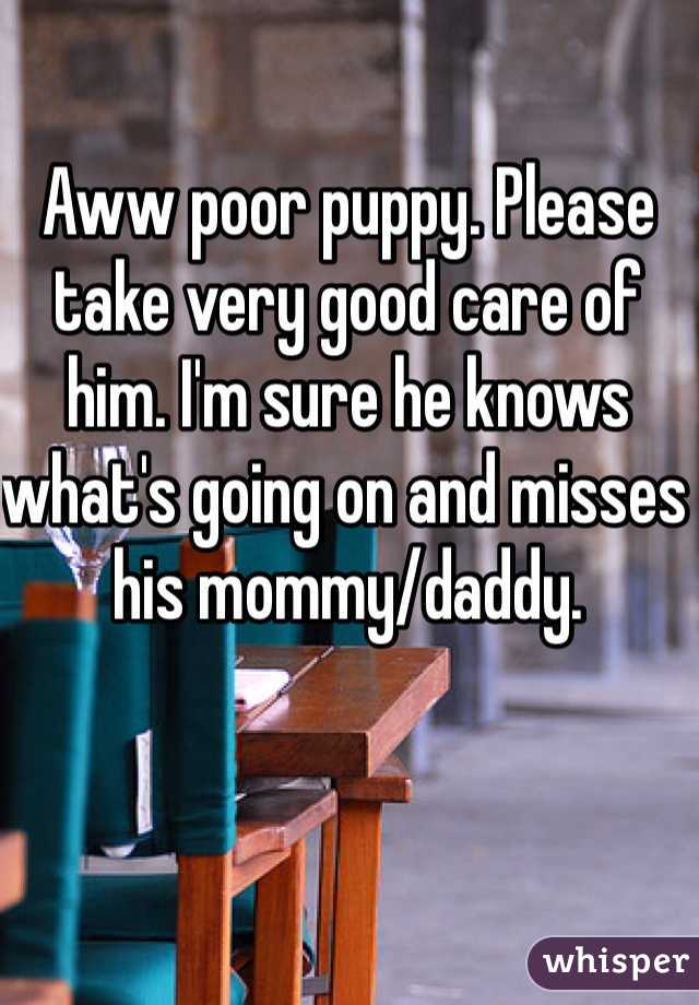 Aww poor puppy. Please take very good care of him. I'm sure he knows what's going on and misses his mommy/daddy. 