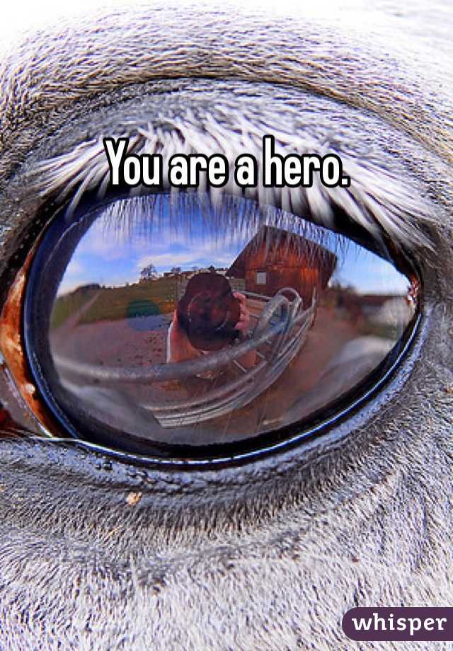 You are a hero.