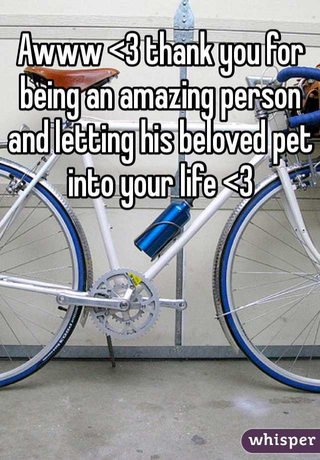 Awww <3 thank you for being an amazing person and letting his beloved pet into your life <3 