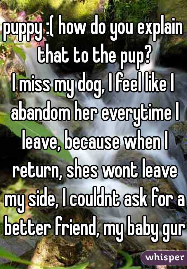 puppy :( how do you explain that to the pup?
I miss my dog, I feel like I abandom her everytime I leave, because when I return, shes wont leave my side, I couldnt ask for a better friend, my baby gurl