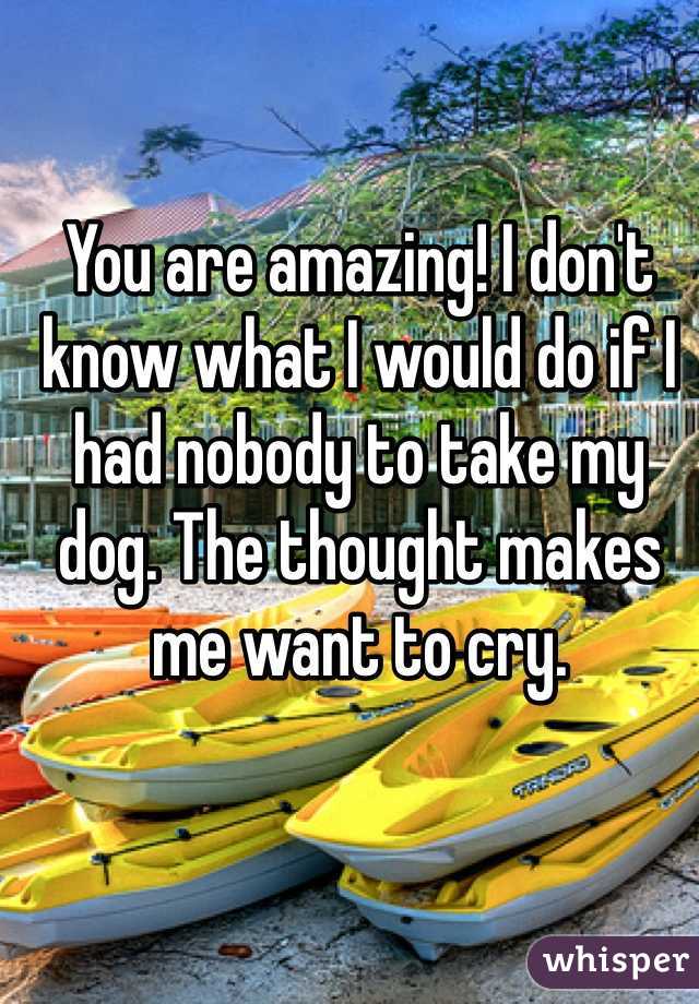 You are amazing! I don't know what I would do if I had nobody to take my dog. The thought makes me want to cry.