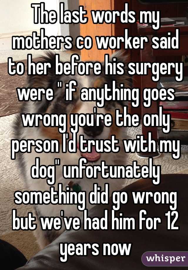 The last words my mothers co worker said to her before his surgery were " if anything goes wrong you're the only person I'd trust with my dog" unfortunately something did go wrong but we've had him for 12 years now
