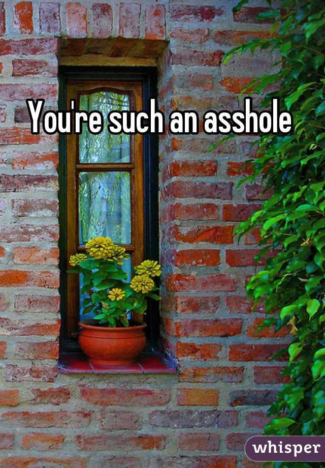 You're such an asshole 