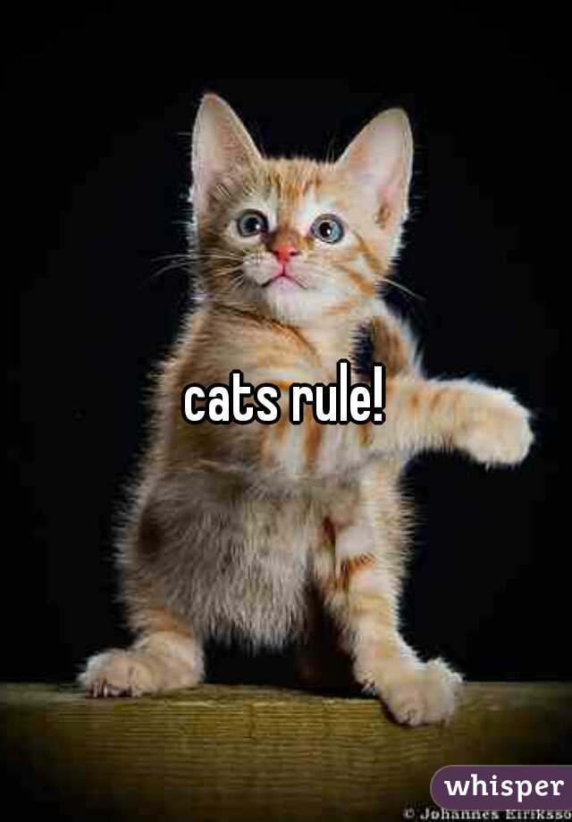 cats rule!
