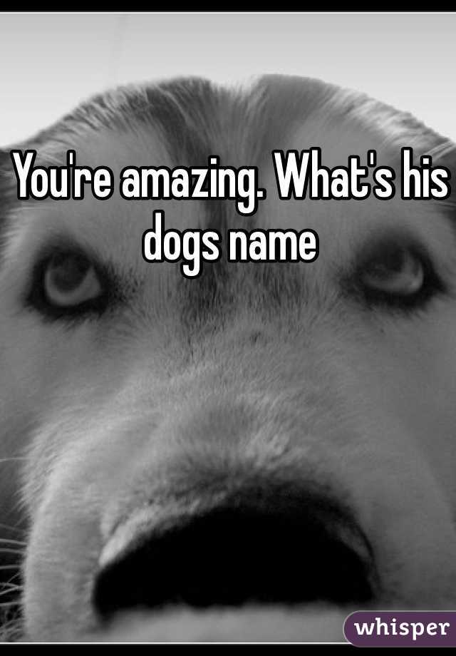 You're amazing. What's his dogs name