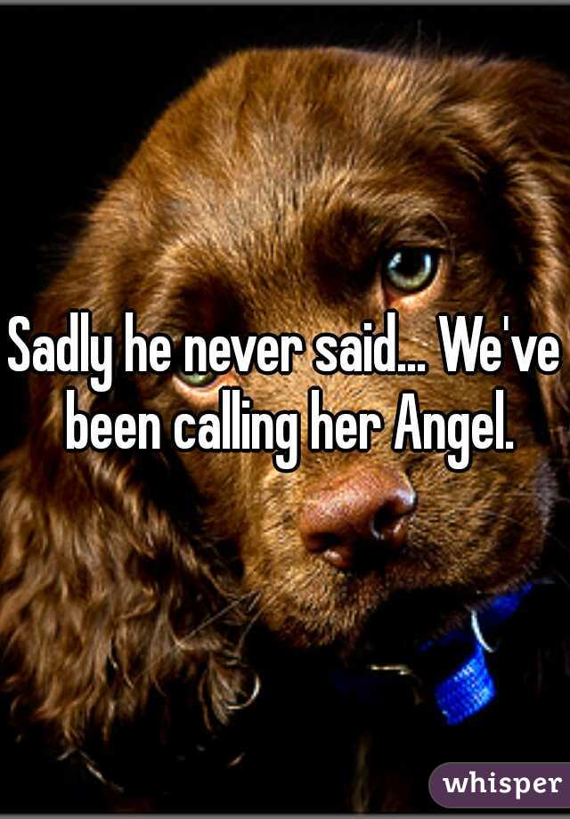 Sadly he never said... We've been calling her Angel.