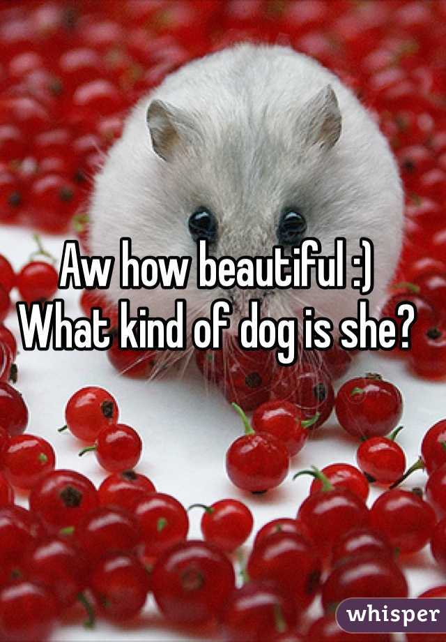 Aw how beautiful :)
What kind of dog is she?