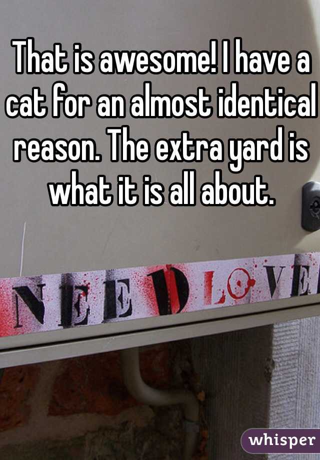 That is awesome! I have a cat for an almost identical reason. The extra yard is what it is all about. 