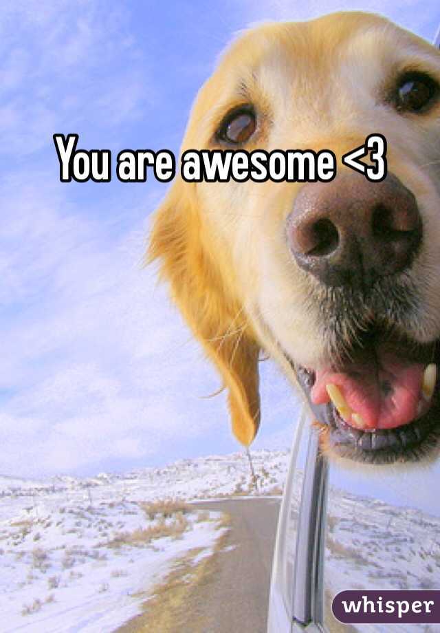 You are awesome <3