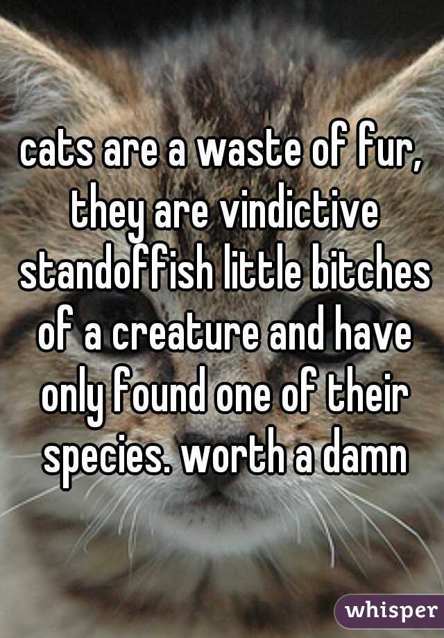 cats are a waste of fur, they are vindictive standoffish little bitches of a creature and have only found one of their species. worth a damn