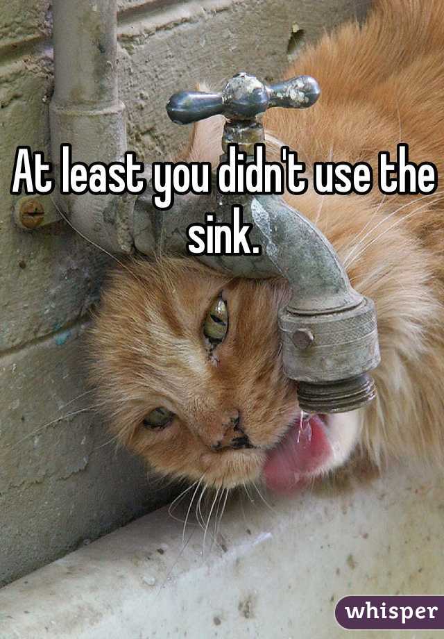 At least you didn't use the sink. 