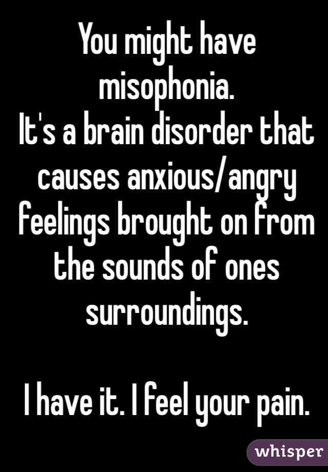 You might have misophonia. 
It's a brain disorder that causes anxious/angry feelings brought on from the sounds of ones surroundings. 

I have it. I feel your pain. 