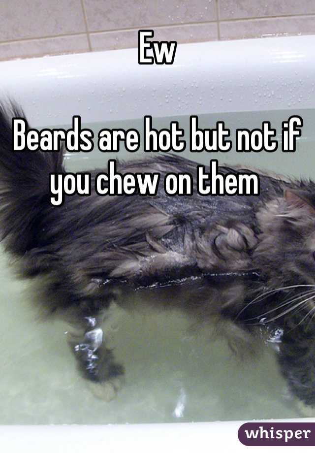 Ew

Beards are hot but not if you chew on them 