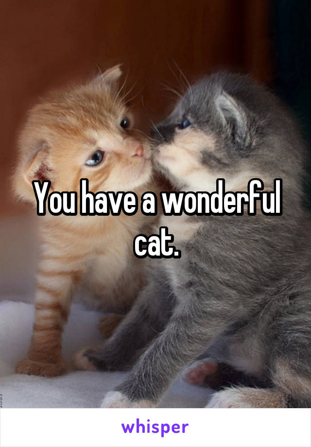 You have a wonderful cat.