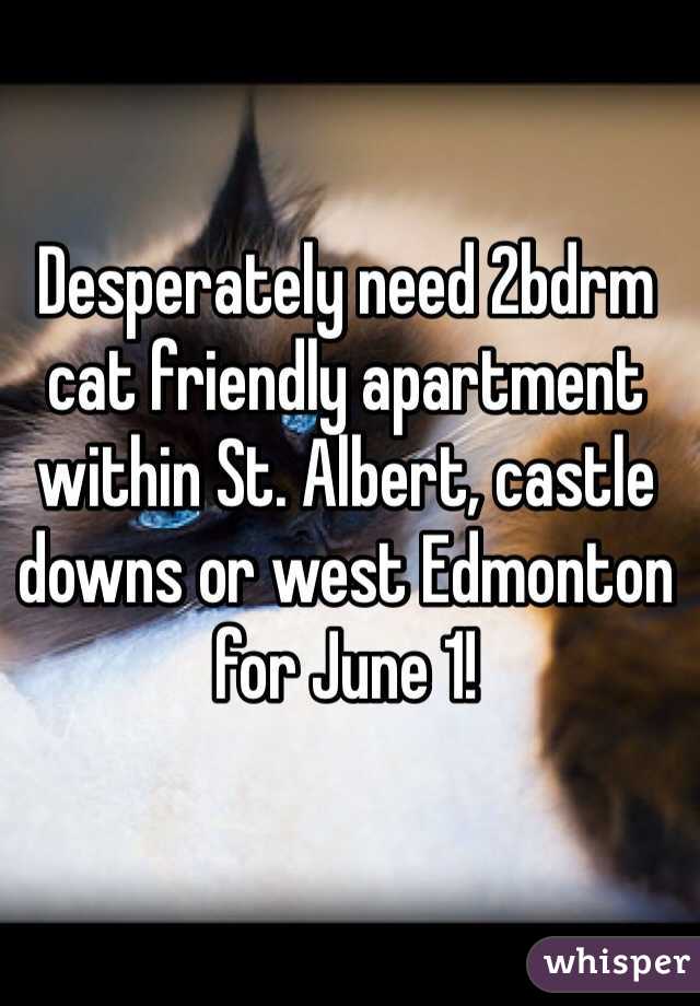 Desperately need 2bdrm cat friendly apartment within St. Albert, castle downs or west Edmonton for June 1! 