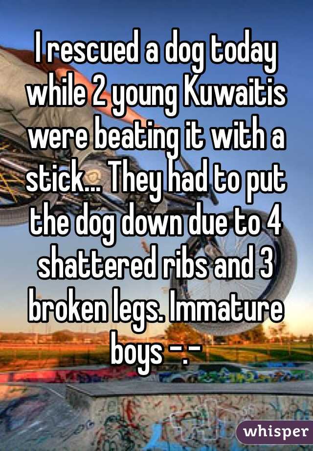 I rescued a dog today while 2 young Kuwaitis were beating it with a stick... They had to put the dog down due to 4 shattered ribs and 3 broken legs. Immature boys -.-