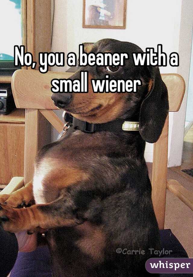 No, you a beaner with a small wiener 