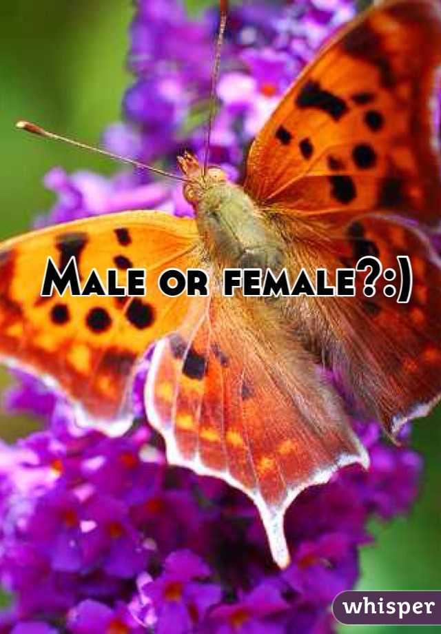 Male or female?:)
