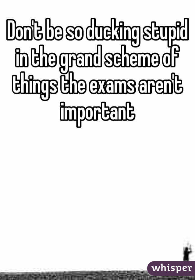 Don't be so ducking stupid in the grand scheme of things the exams aren't important
