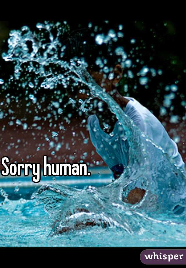 Sorry human.