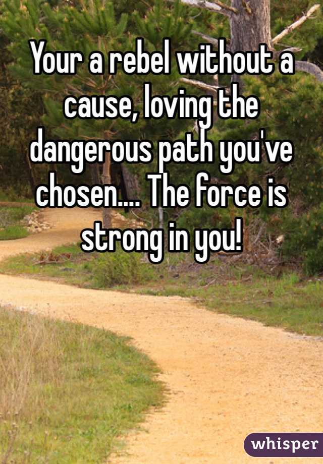 Your a rebel without a cause, loving the dangerous path you've chosen.... The force is strong in you! 