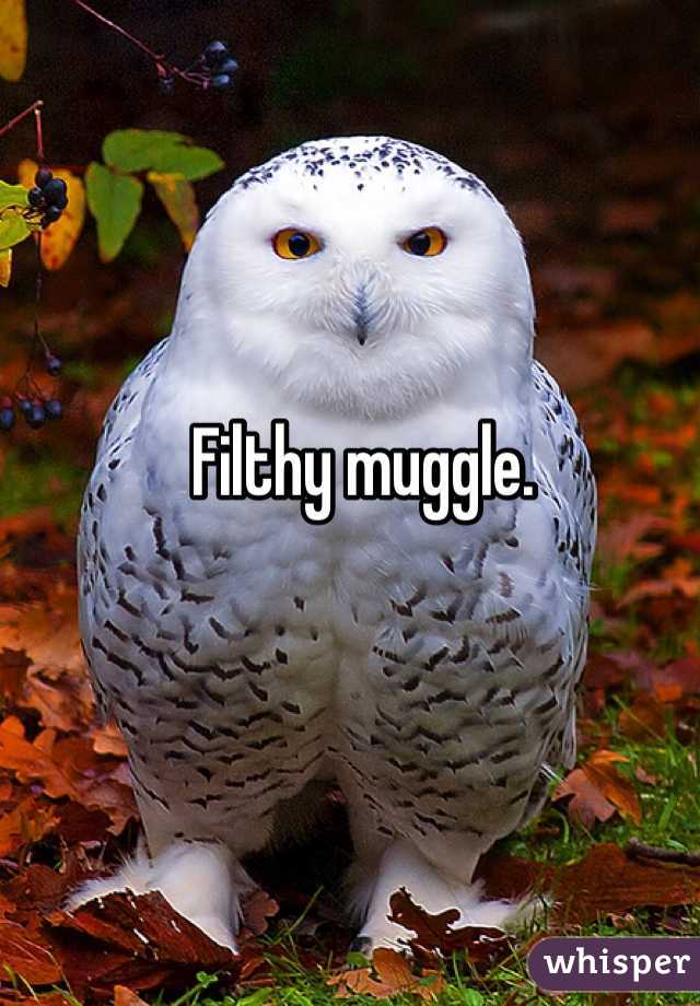 Filthy muggle. 