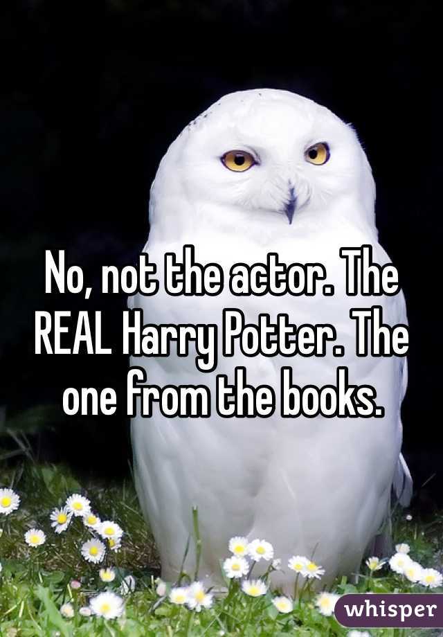 No, not the actor. The REAL Harry Potter. The one from the books. 