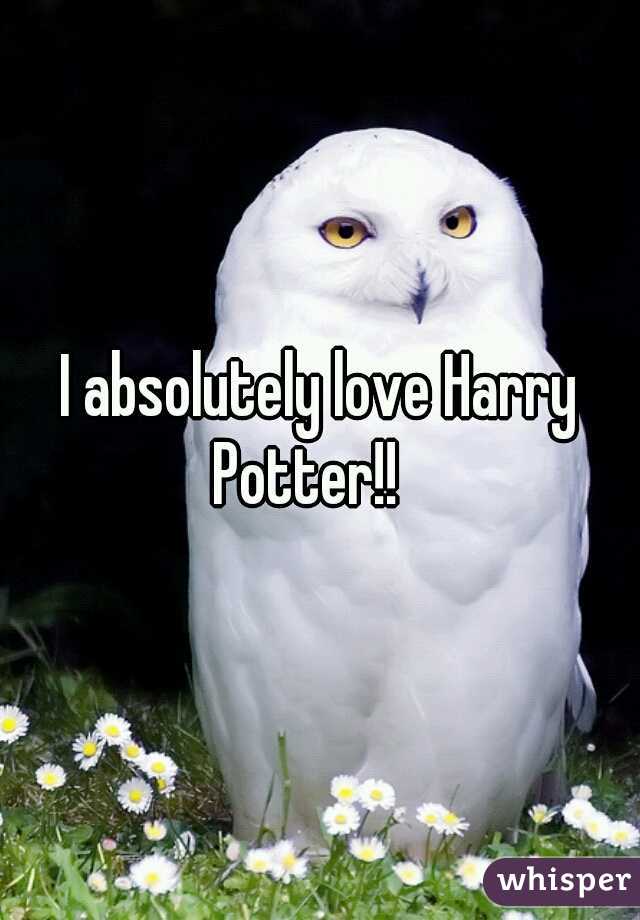 I absolutely love Harry Potter!!   