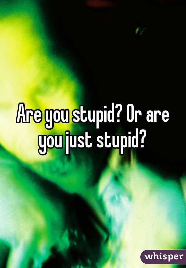 Are you stupid? Or are you just stupid? 