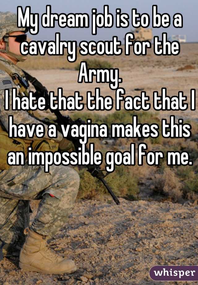 My dream job is to be a cavalry scout for the Army. 
I hate that the fact that I have a vagina makes this an impossible goal for me.