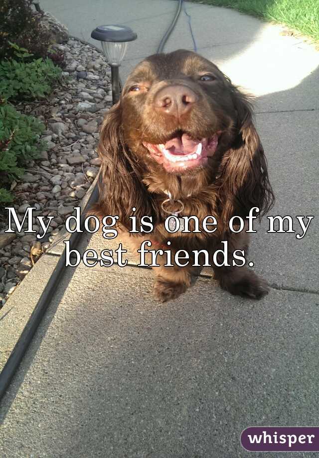 My dog is one of my best friends. 