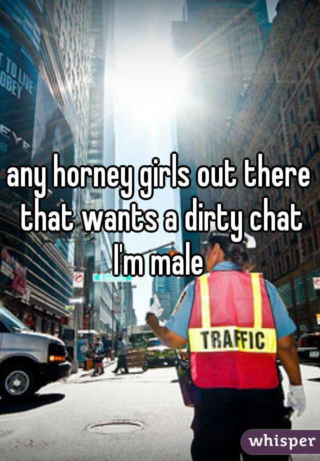 any horney girls out there that wants a dirty chat I'm male 