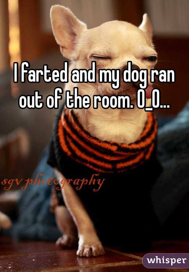 I farted and my dog ran out of the room. O_O...