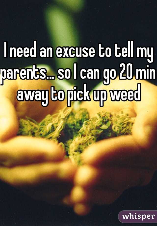 I need an excuse to tell my parents... so I can go 20 min away to pick up weed 