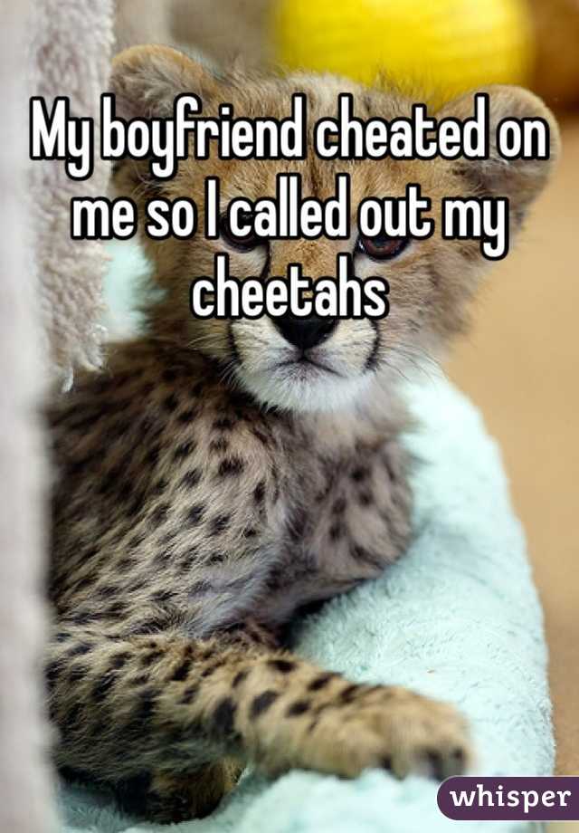 My boyfriend cheated on me so I called out my cheetahs 