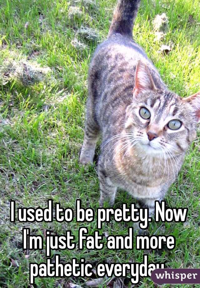 I used to be pretty. Now I'm just fat and more pathetic everyday. 