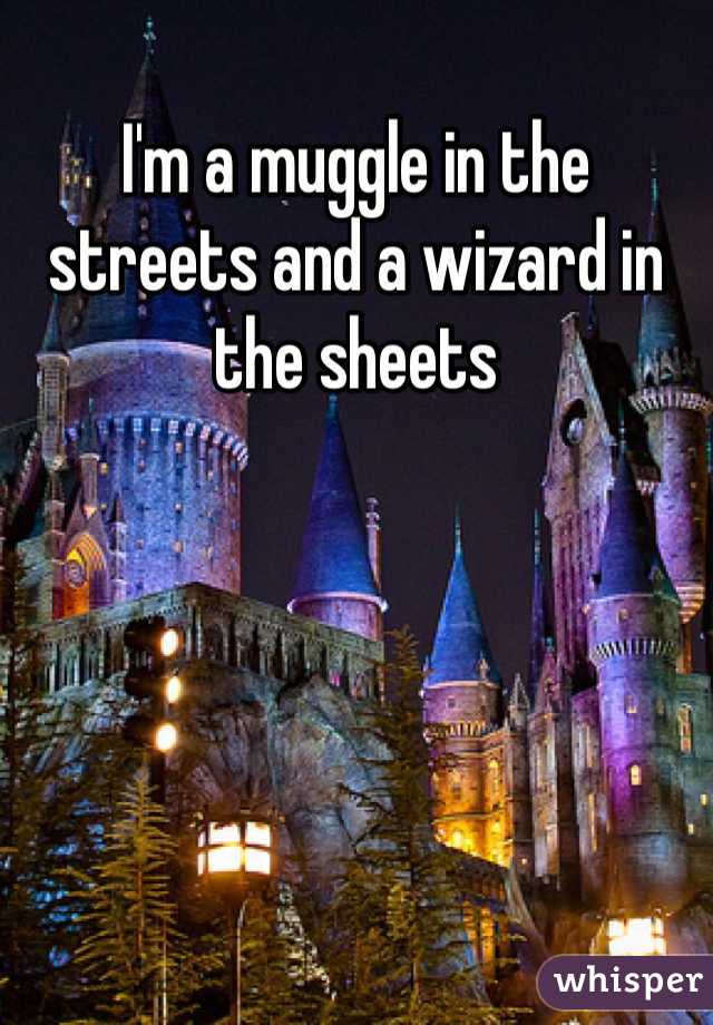 I'm a muggle in the streets and a wizard in the sheets