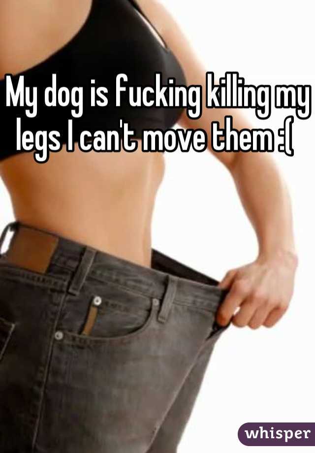 My dog is fucking killing my legs I can't move them :( 