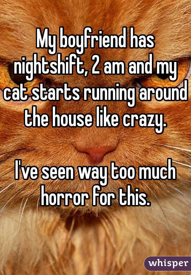 
My boyfriend has nightshift, 2 am and my cat starts running around the house like crazy. 

I've seen way too much horror for this. 