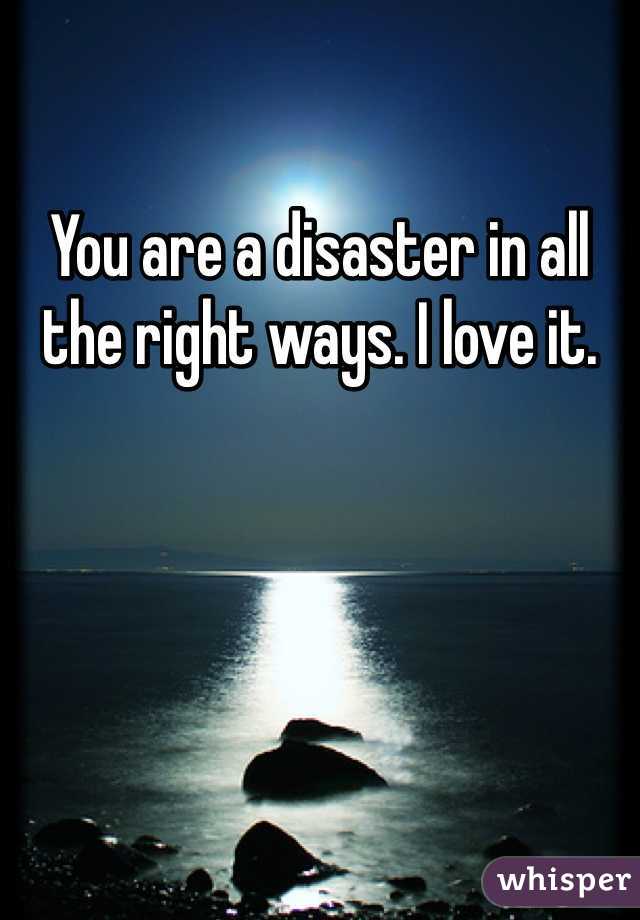 You are a disaster in all the right ways. I love it. 