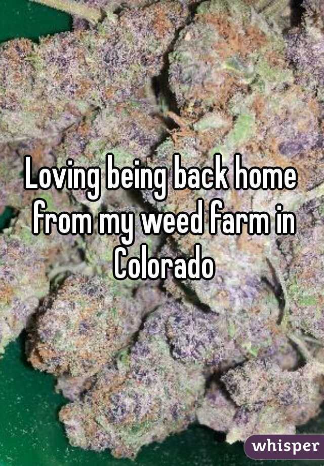 Loving being back home from my weed farm in Colorado