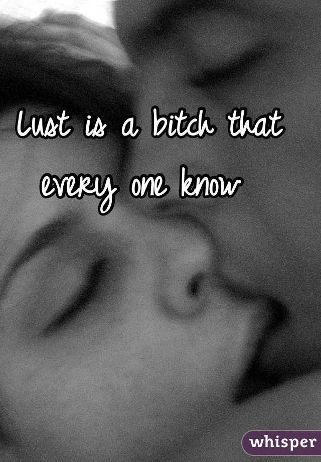 Lust is a bitch that every one know 