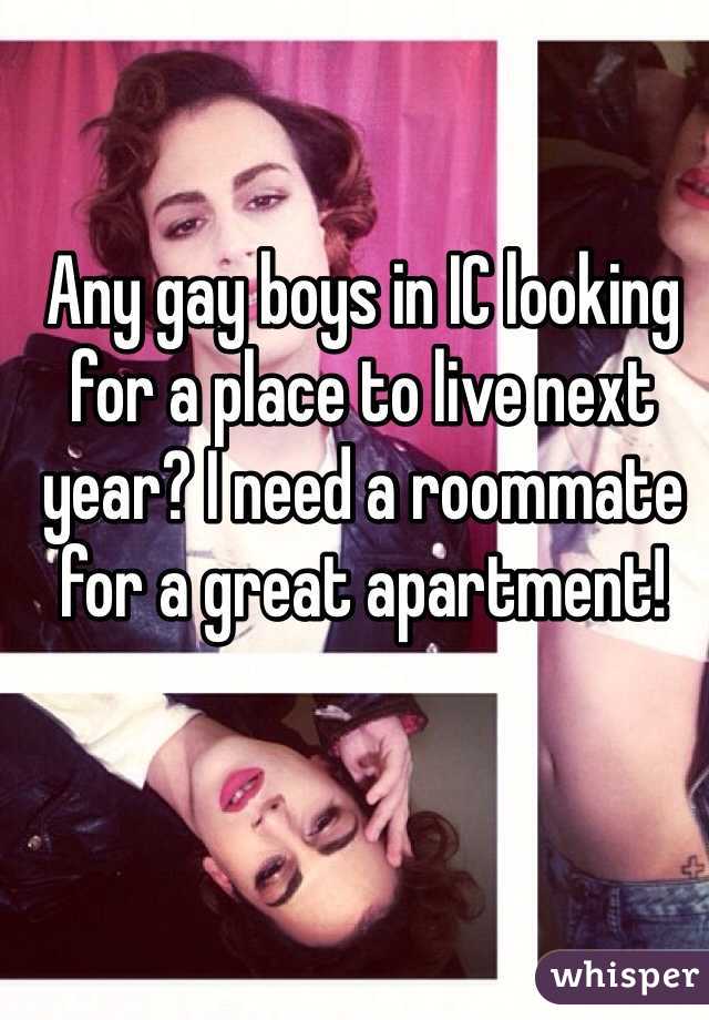 Any gay boys in IC looking for a place to live next year? I need a roommate for a great apartment!