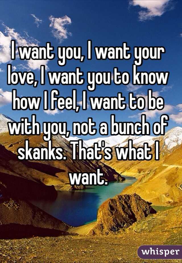 I want you, I want your love, I want you to know how I feel, I want to be with you, not a bunch of skanks. That's what I want.