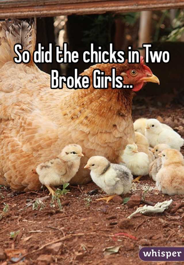 So did the chicks in Two Broke Girls...
